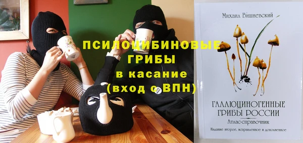 не бодяженный Алзамай